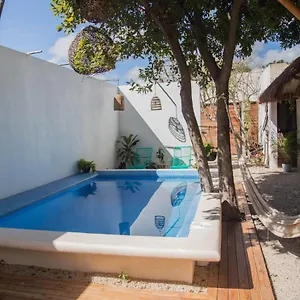 https://casa-akasha-bacalar.quintano-roohotels.com